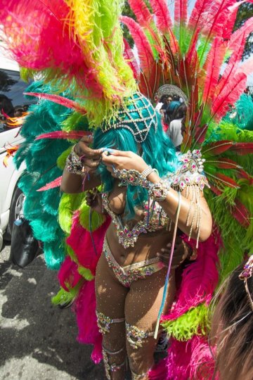 Rihanna Barbados Festival Pussy Slip Leaked - #13