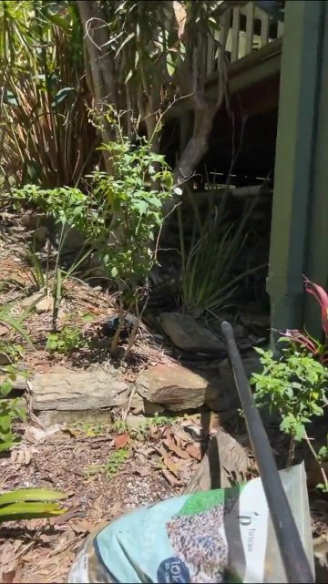 Emily Feld Poolside Bikini Dancing Sunroom Video Leaked - #16